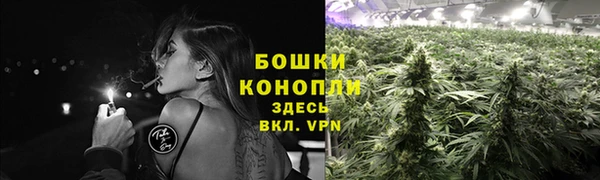 ешки Няндома