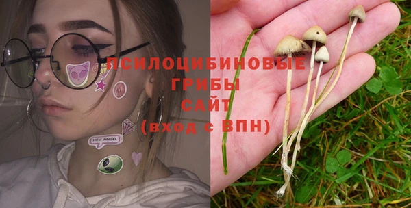 бутират Алексин