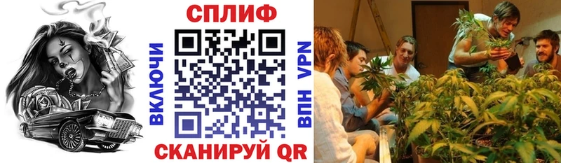 Бошки марихуана индика  Менделеевск 